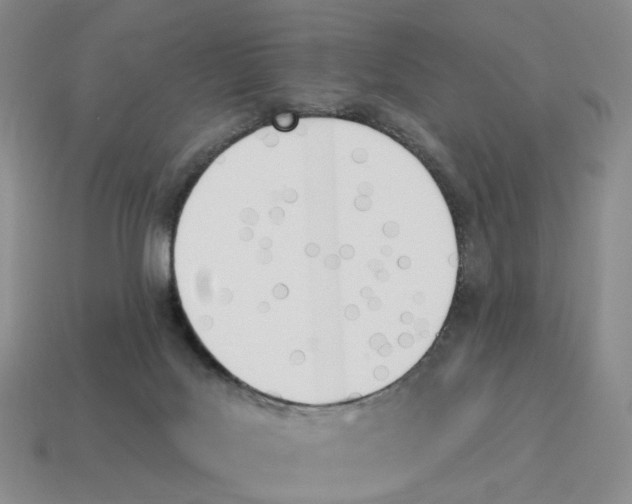 X0000114240027200911061558