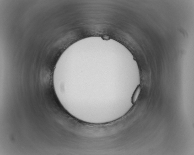 X0000114240029200911061558