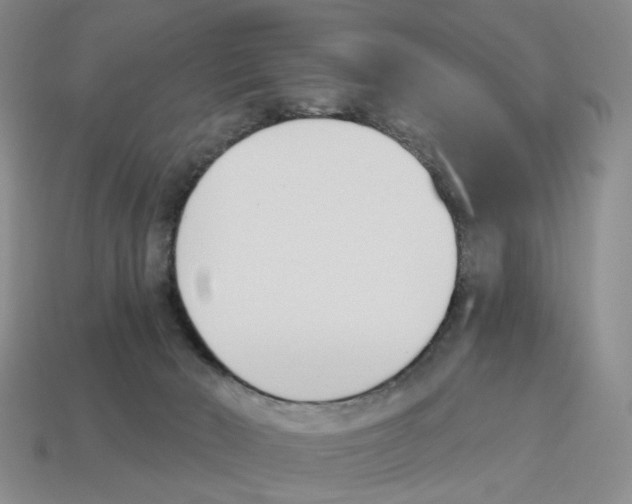 X0000114240030200911061558