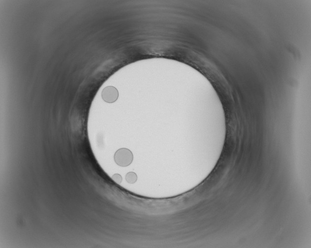 X0000114240031200911061558