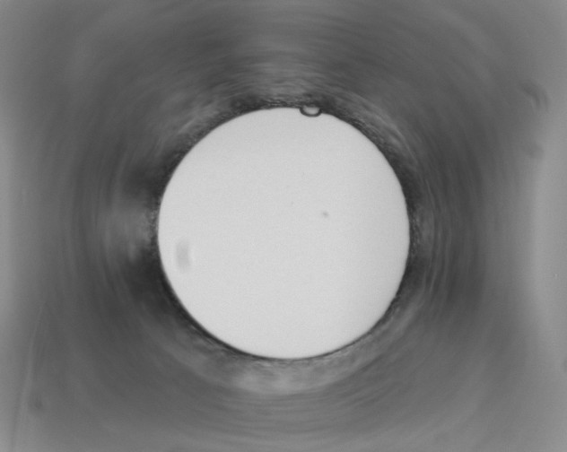 X0000114240033200911061558