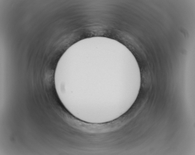 X0000114240034200911061558