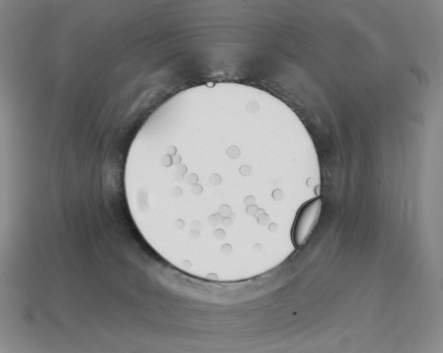 X0000114240035200911061557