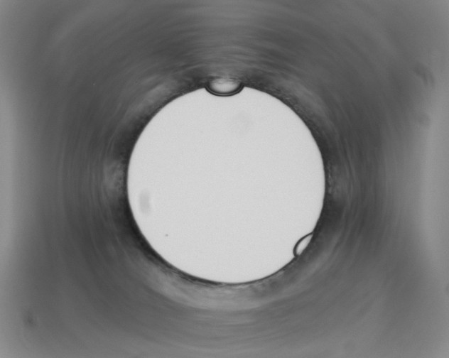 X0000114240036200911061557