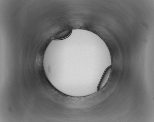 X0000114240037200911061557