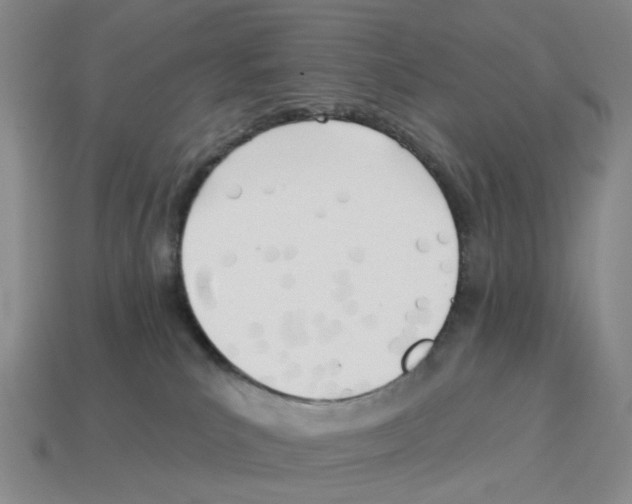 X0000114240039200911061557