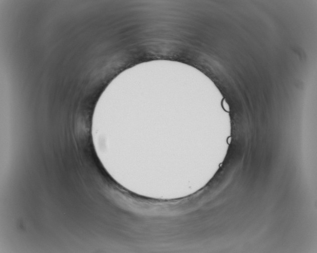 X0000114240040200911061557