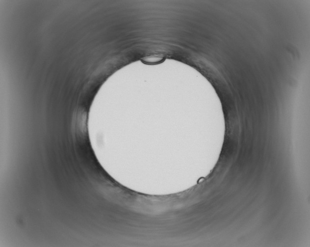 X0000114240041200911061557