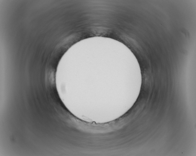 X0000114240042200911061557