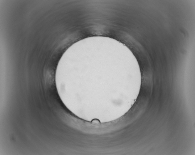 X0000114240043200911061557