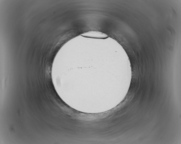 X0000114240045200911061557