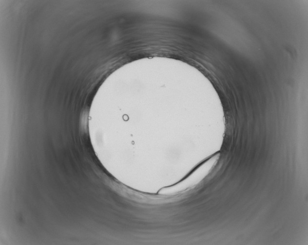 X0000114240047200911061557