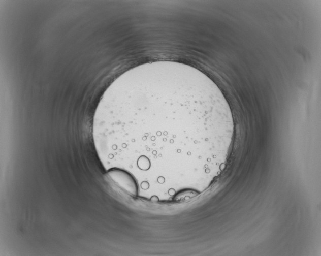 X0000114240048200911061557