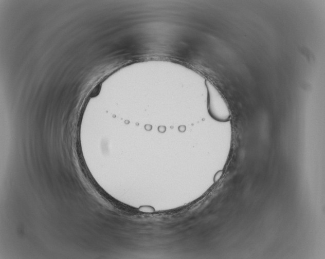 X0000114240049200911061557