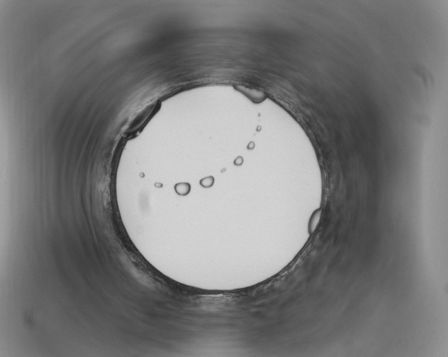 X0000114240050200911061557