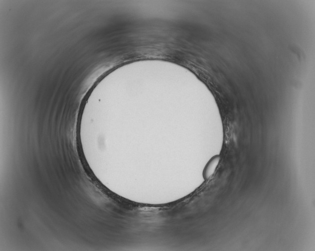 X0000114240052200911061557