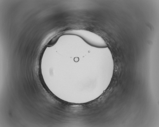 X0000114240053200911061557