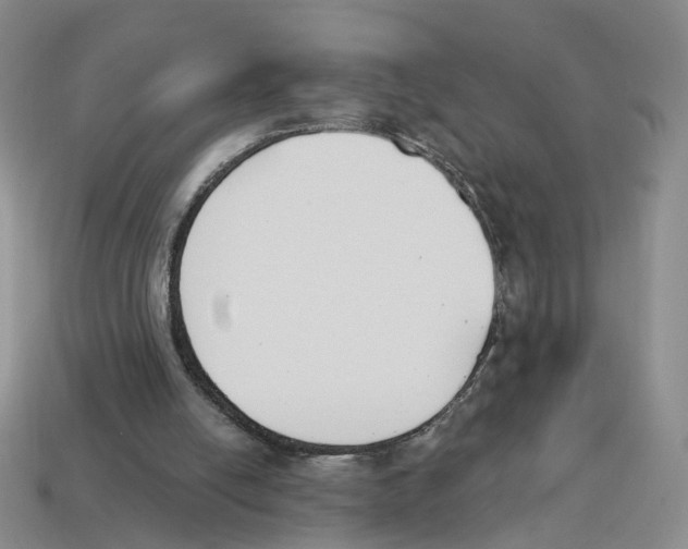 X0000114240054200911061557