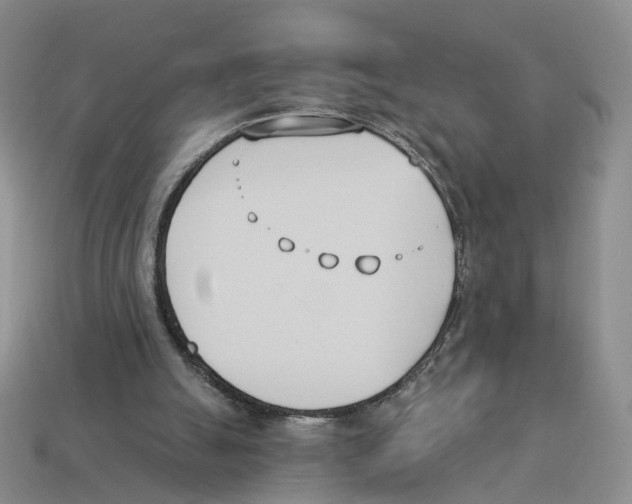 X0000114240055200911061557