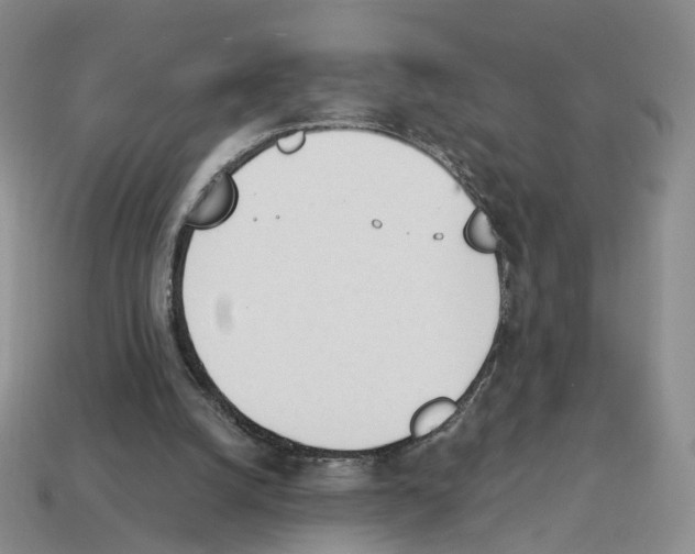 X0000114240056200911061557