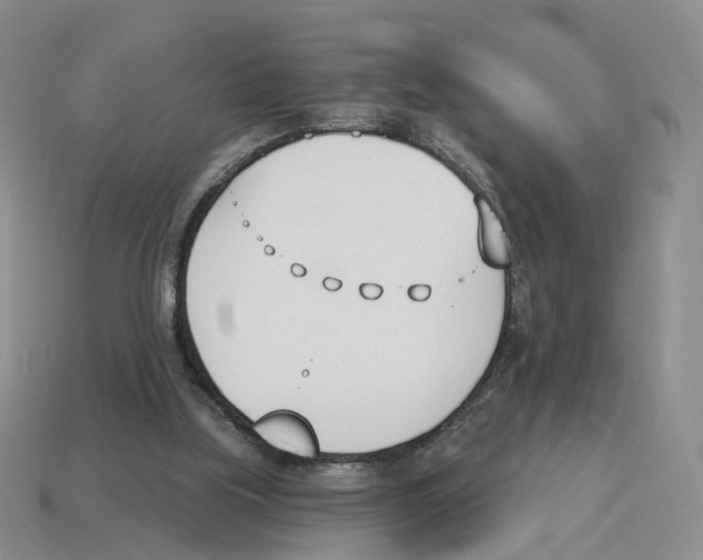 X0000114240059200911061557