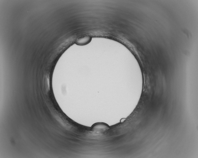 X0000114240061200911061557