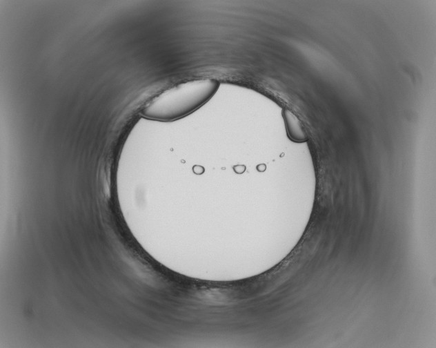 X0000114240062200911061557