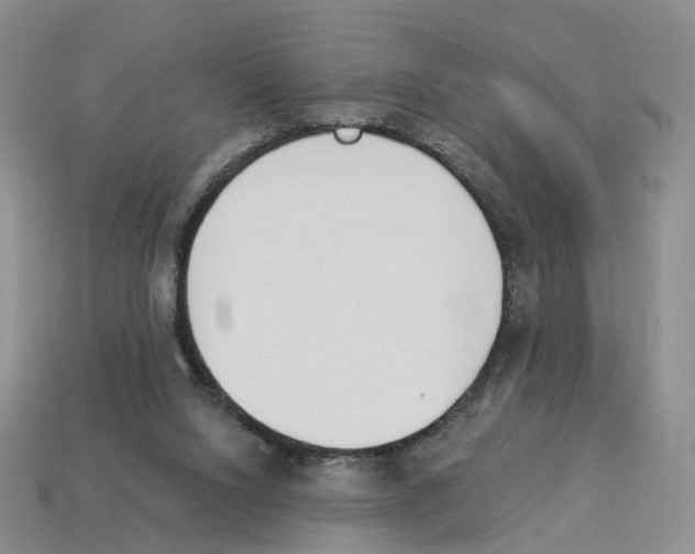 X0000114240064200911061557