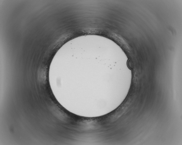 X0000114240065200911061557