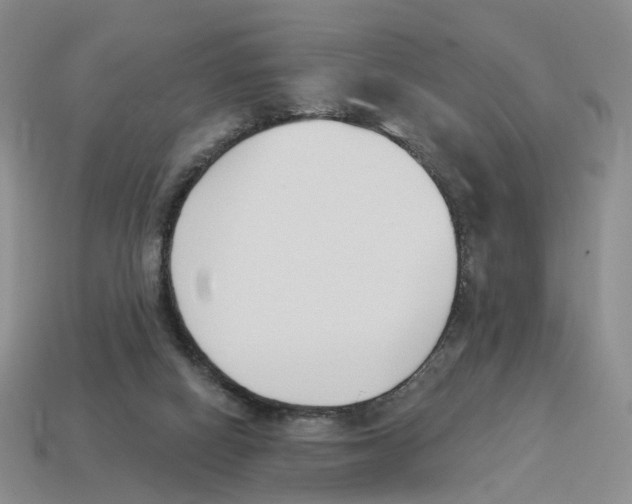 X0000114240066200911061557