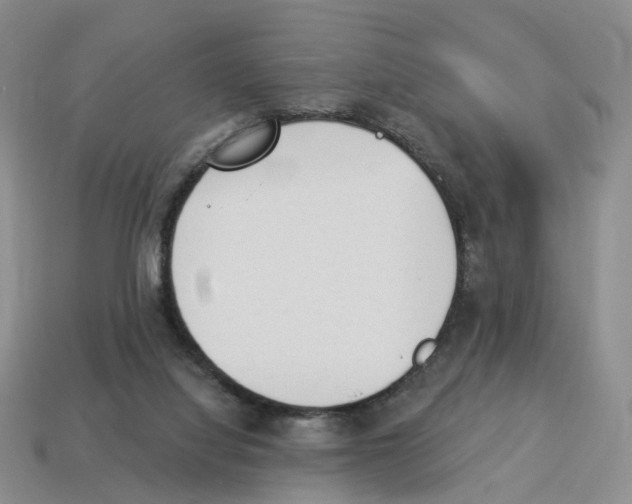 X0000114240068200911061557