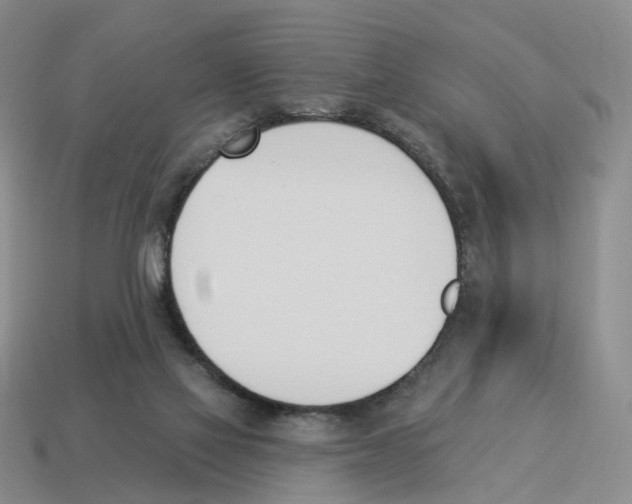 X0000114240069200911061557