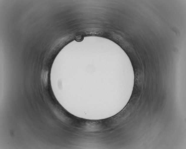 X0000114240070200911061557