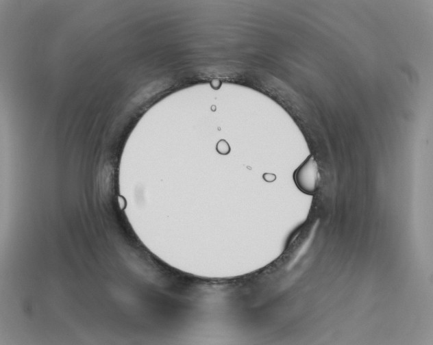 X0000114240071200911061557