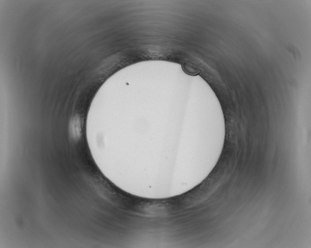 X0000114240075200911061557