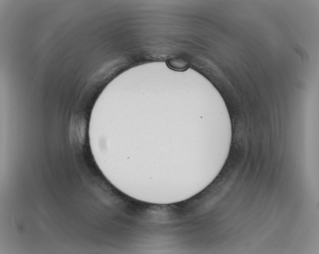 X0000114240076200911061557