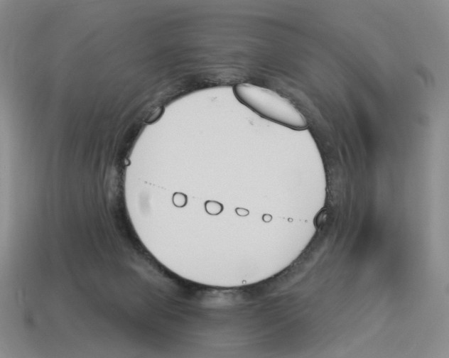 X0000114240077200911061557