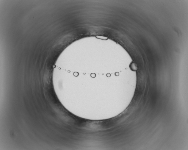 X0000114240078200911061557