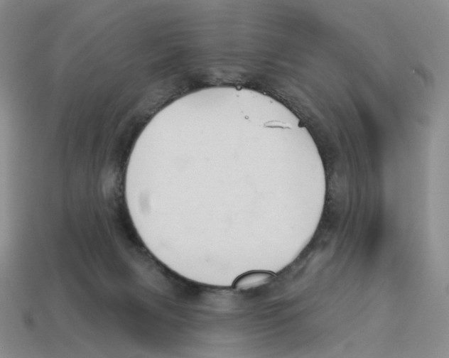 X0000114240079200911061557