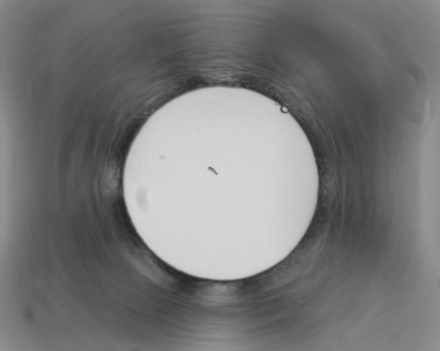 X0000114240081200911061557