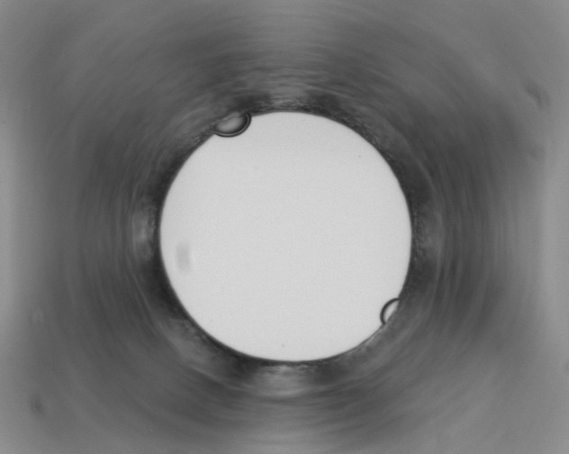 X0000114240082200911061557