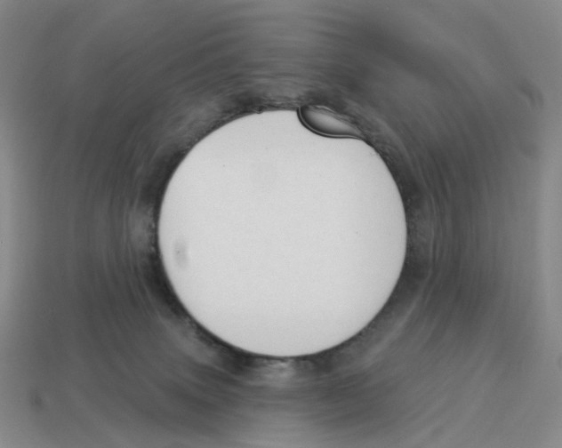 X0000114240083200911061557