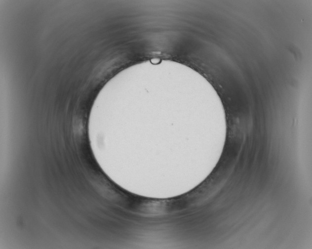 X0000114240084200911061557