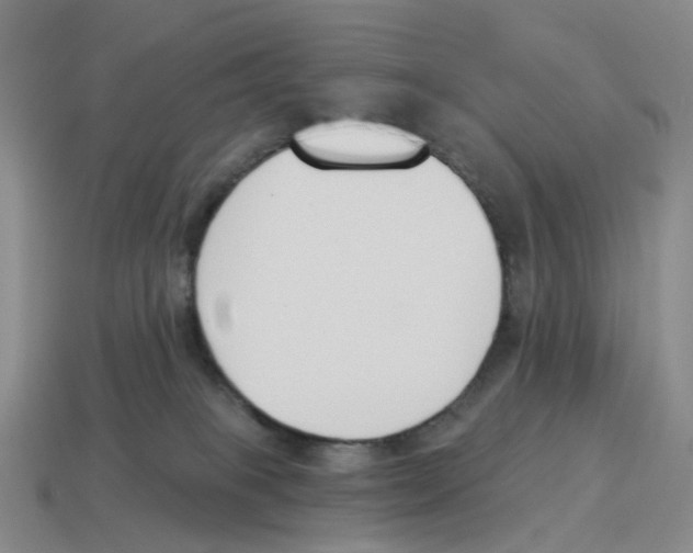 X0000114240085200911061557