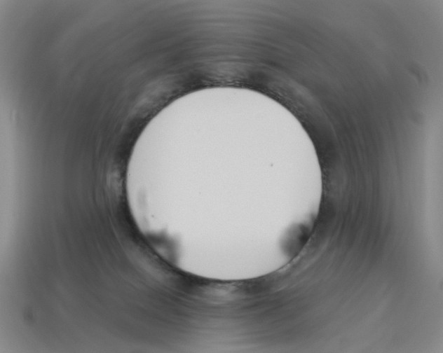 X0000114240086200911061557