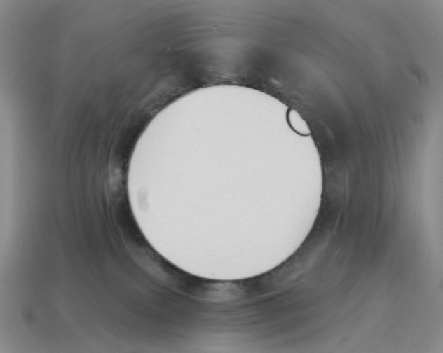 X0000114240087200911061557