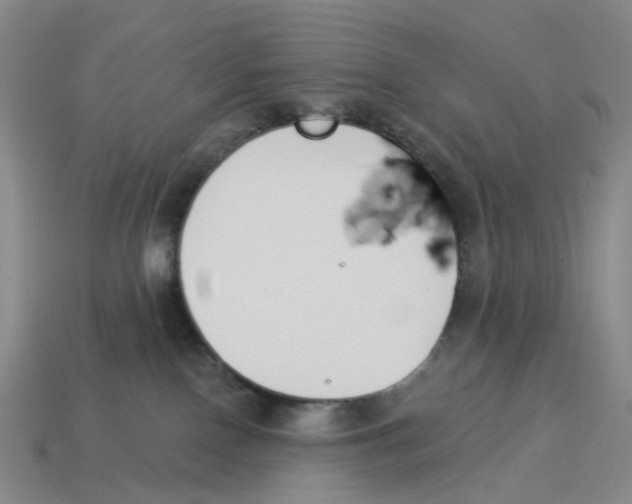 X0000114240090200911061557