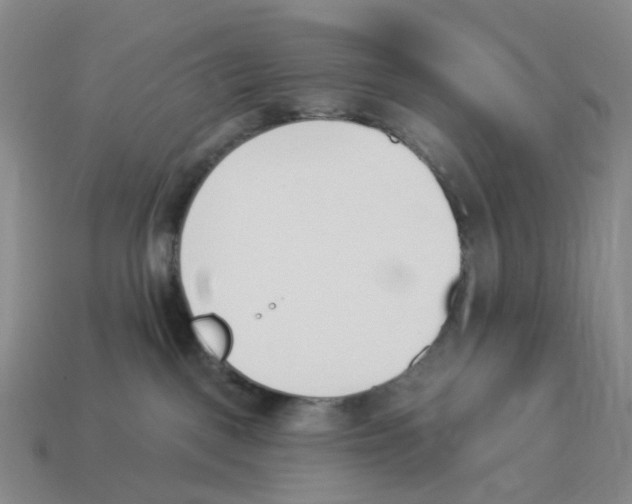 X0000114240093200911061557