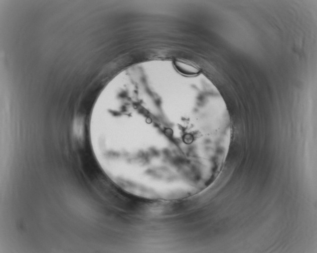 X0000114240094200911061557