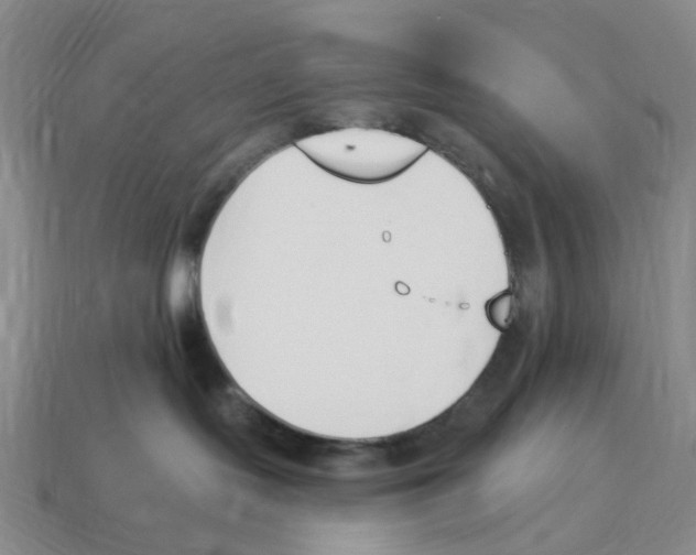 X0000114240095200911061557